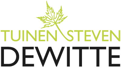 Logo Steven dewitte_zwart_zonder baseline